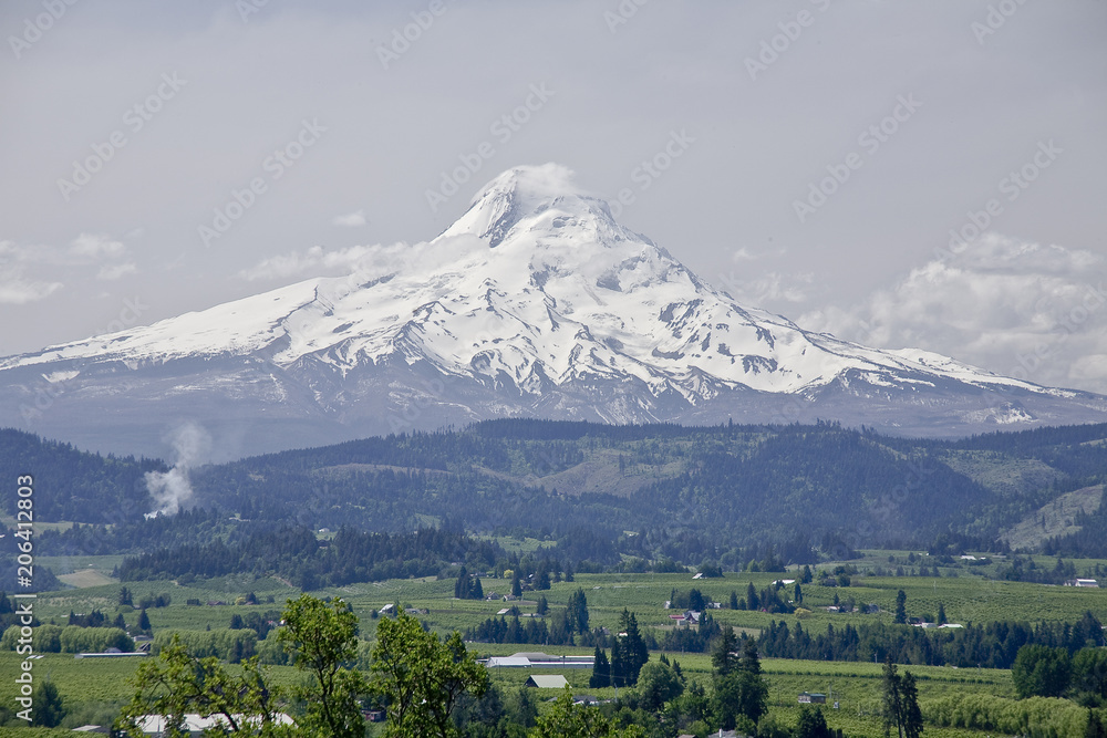 Beautiful Hood River valley with verdant farm lands and forest covered hills situated at the foot of the snow-covered Mount Hood that reaches the clouds in the whitish-bluish-gray sky