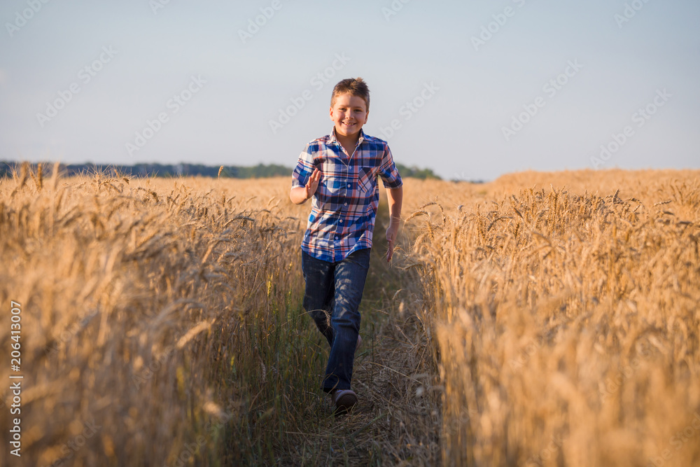 young boy running on field with ripe wheat young boy running on field with ripe wheat