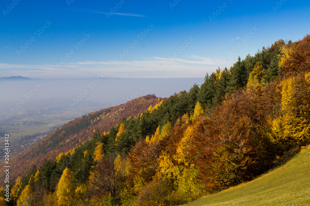 Colorful autumn forest landscape, with mountains in the background