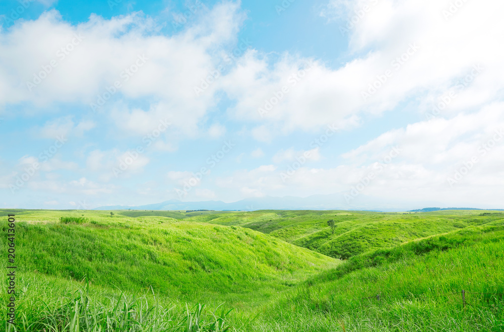 Fototapeta premium 阿蘇の風景