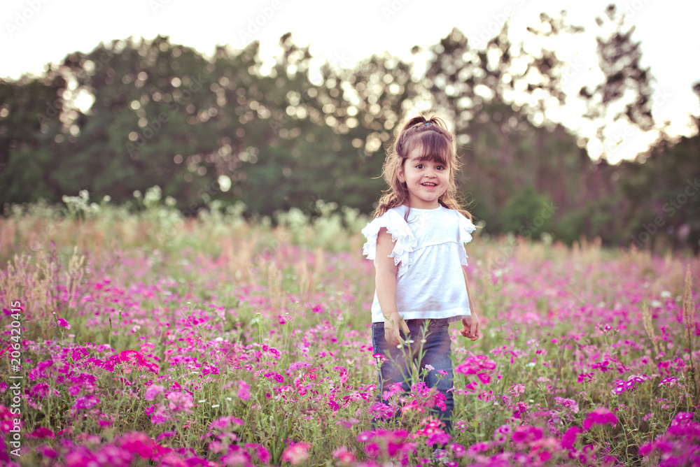 Little girl in a purple flower field during the evening golden light in the summer