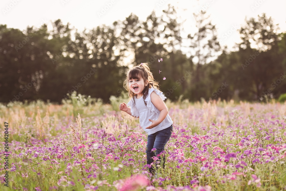 Little girl in a purple flower field during the evening golden light in the summer Little girl in a purple flower field during the evening golden light in the summer