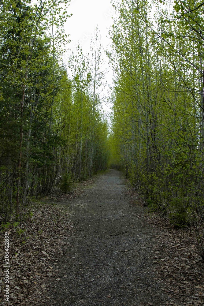 Obraz premium Eklutna Tailrace Trail