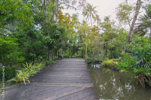 Wooden board walk Landscape in the nature.