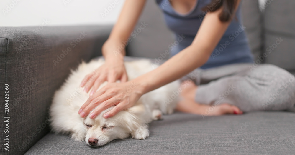 Woman touching on her dog and sitting on sofa Woman touching on her dog and sitting on sofa