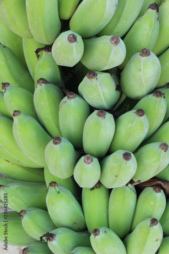 Fresh banana is delicious in the market Fresh banana is delicious in the market