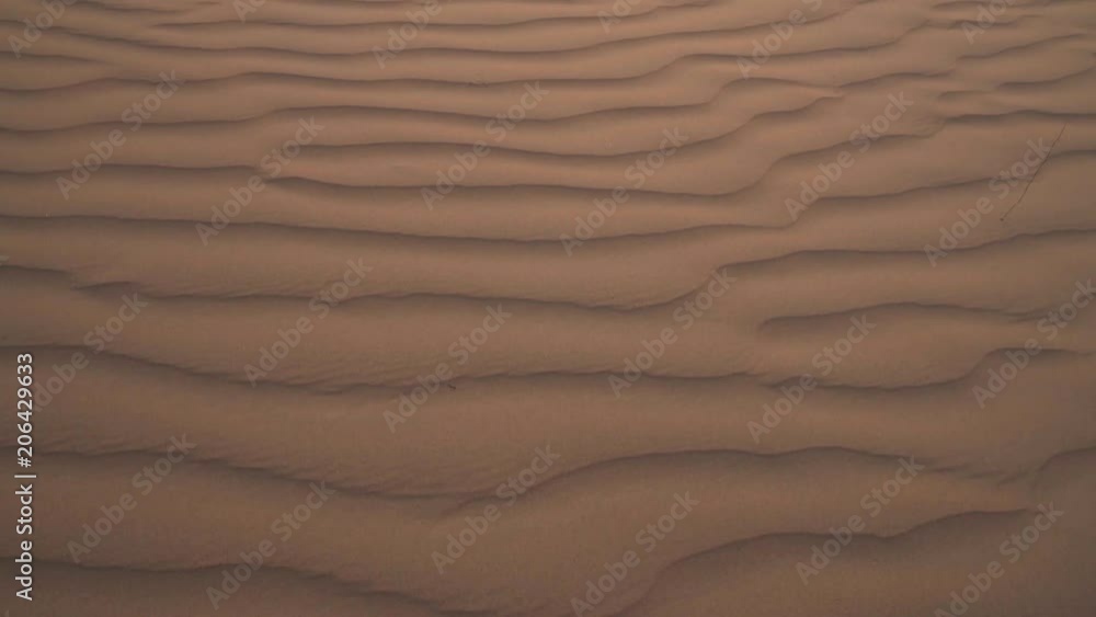 Beautiful Rub al Khali desert at sunrise stock footage video Beautiful Rub al Khali desert at sunrise stock footage video