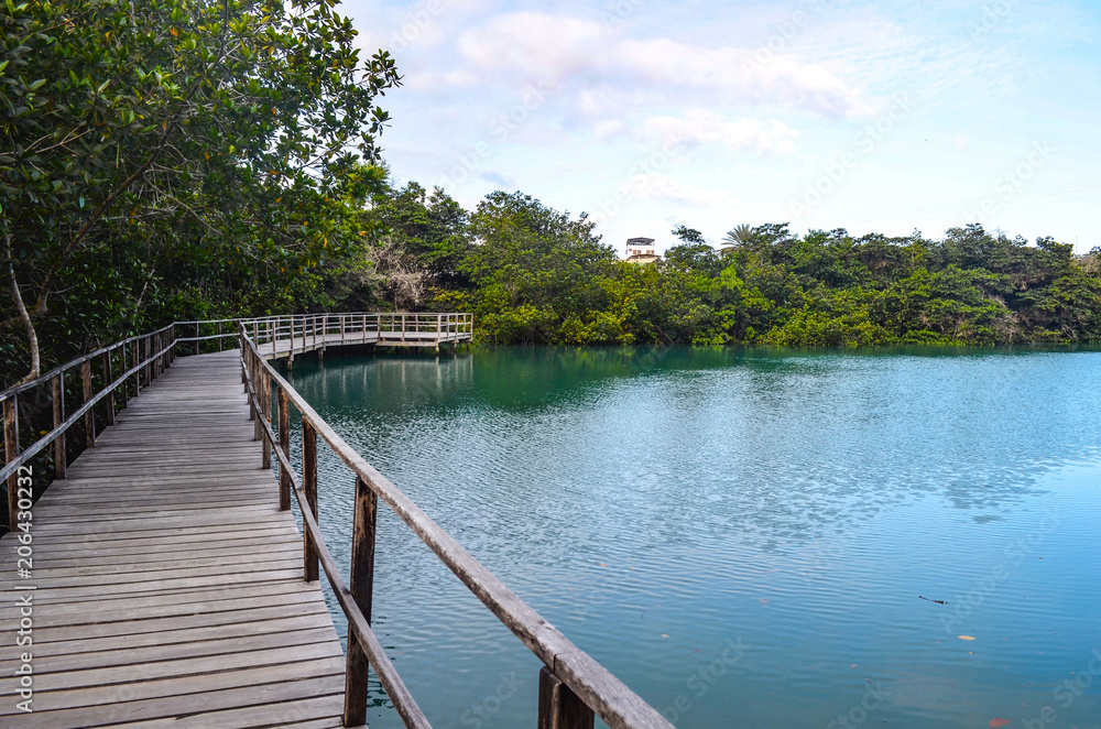 Laguna de las Ninfas, a saltwater lagoon in the town of Puerto Ayora, on Santa Cruz island in the Galapagos Islands.
