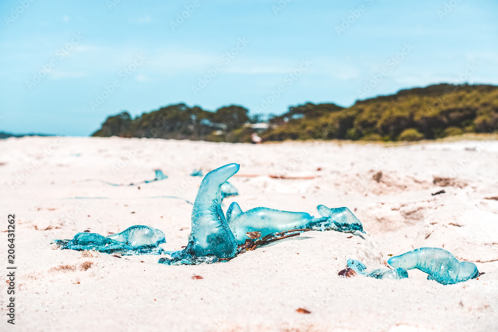 Obraz premium blue bottle at the beach in australia