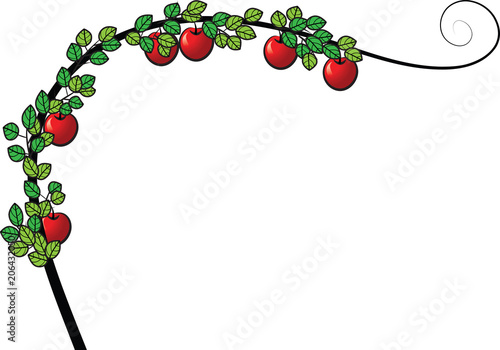 apple tree border
