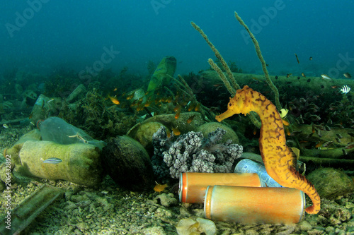 Photography Plastic pollution of ocean