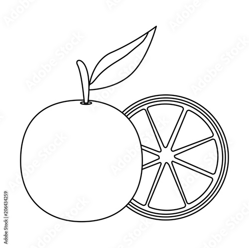 fresh oranges fruits icon vector illustration design