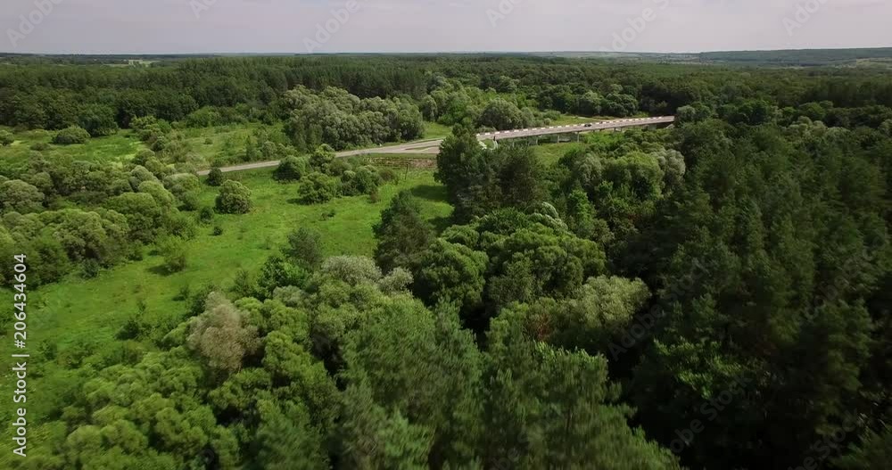 Aerial view of a thick forest on summer day Aerial view of a thick forest on summer day