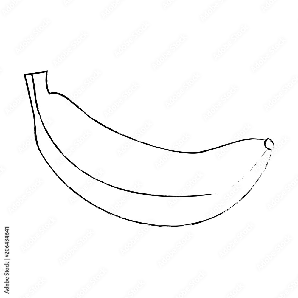 fresh banana fruit icon vector illustration design