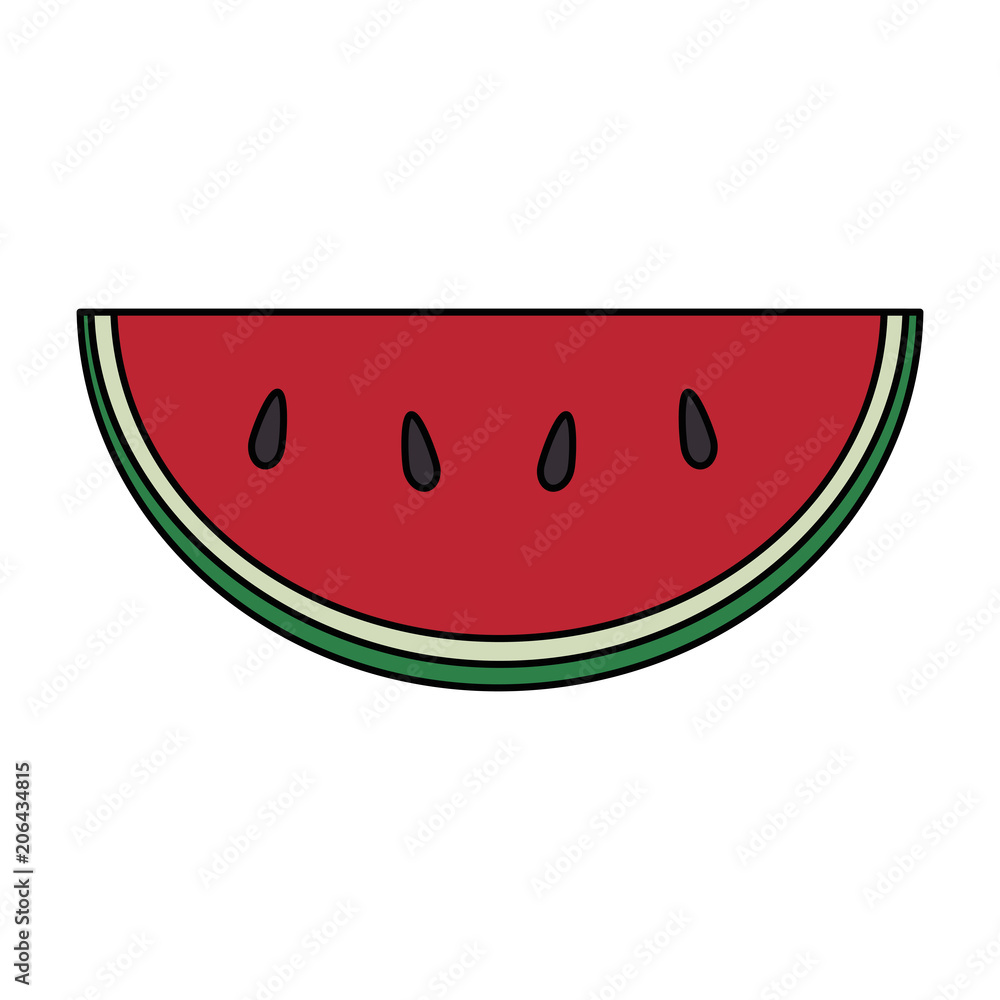 fresh watermelon fruit icon vector illustration design