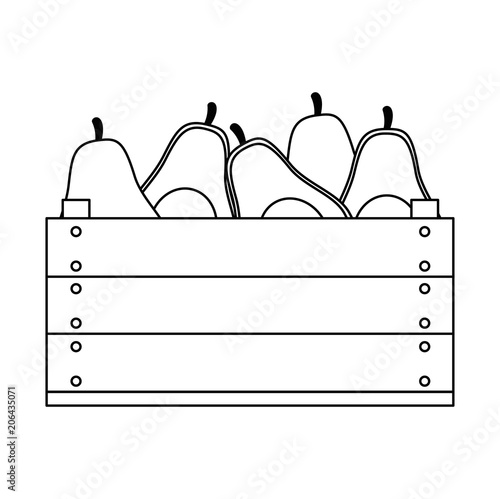 fresh avocados in wooden box vegetarian food vector illustration design