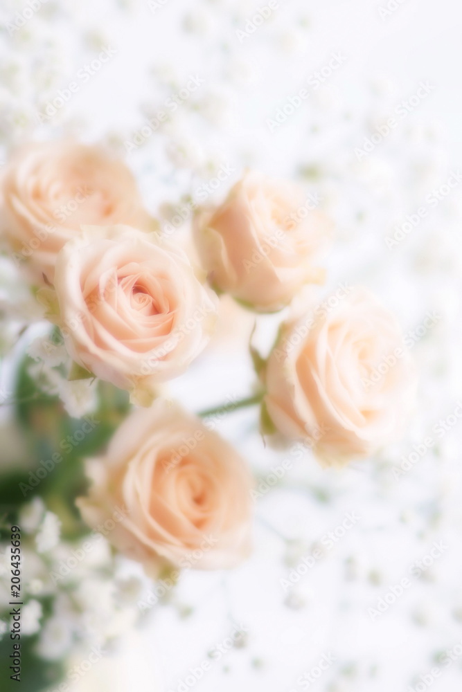 Blur effect, soft focus flowers background with bouquet of pale pink  roses.Close up. Beautiful Holiday background