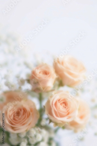 Blur effect, soft focus flowers background with bouquet of pale pink roses.Close up. Beautiful Holiday background