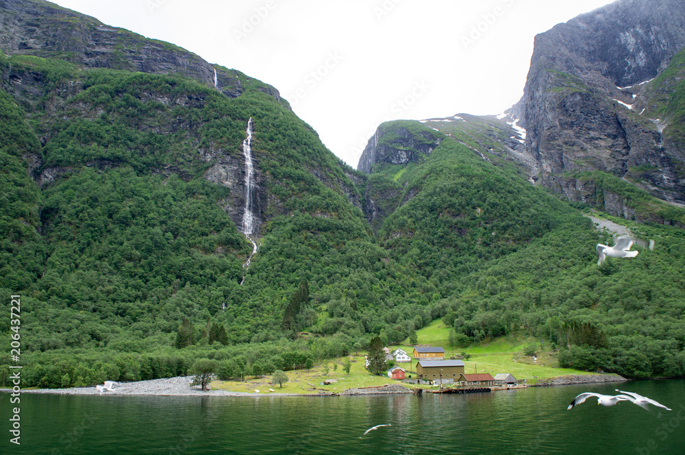 Fototapeta premium フィヨルドクルーズで見た景色