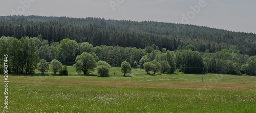 Böhmerwald photo