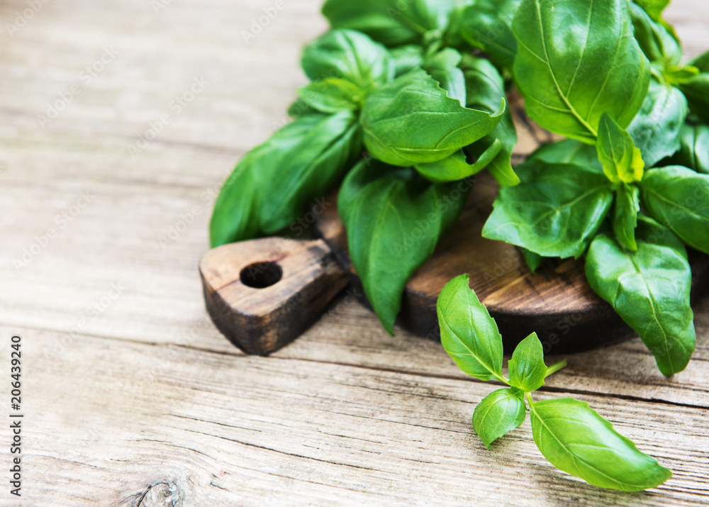 Fresh green basil Fresh green basil