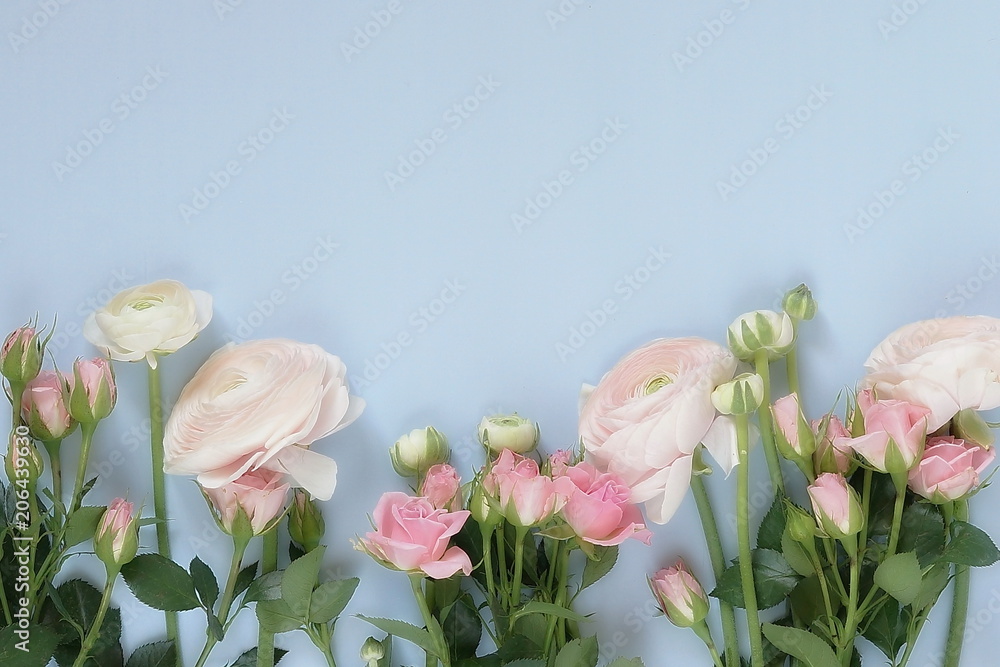 Obraz premium Flowers background. Bouquet of pale pink ranunculus and roses flowers on pale blue background. Top view. Copy space.