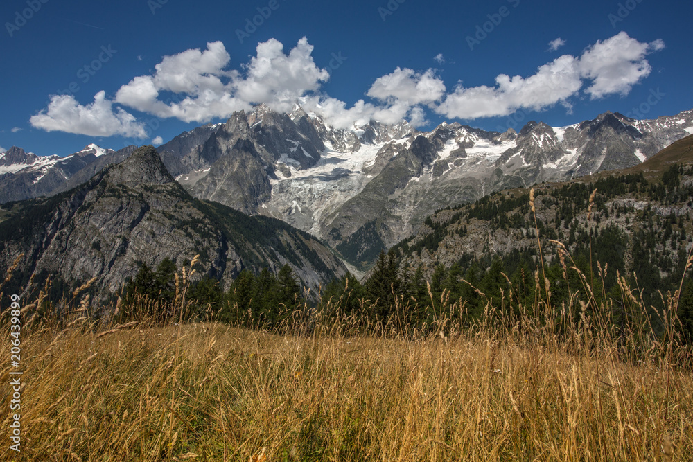 Mountain panorama in a beautiful summer day View white mountain peak on the Italian Alps. Uncontaminated nature in a peaceful and quiet, relaxing place. Natural landscape with green tree, yellow grass Mountain panorama in a beautiful summer day View white mountain peak on the Italian Alps. Uncontaminated nature in a peaceful and quiet, relaxing place. Natural landscape with green tree, yellow grass