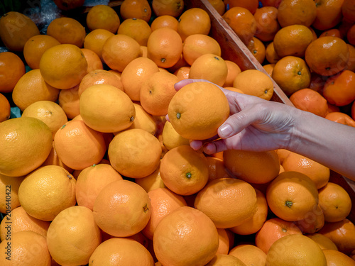 A female hand takes a sunkist orange in the fruit and vegetable aisle in the supermarket photo