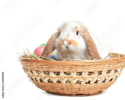 Cute bunny in wicker basket with Easter eggs on white background