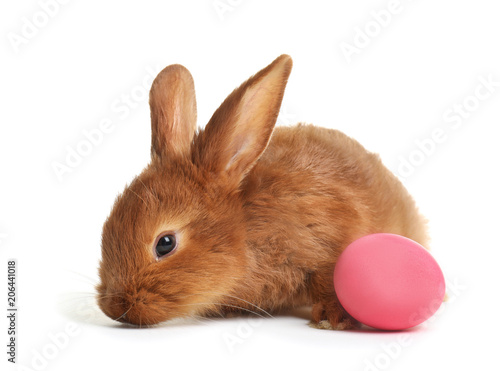 Cute bunny and Easter egg on white background