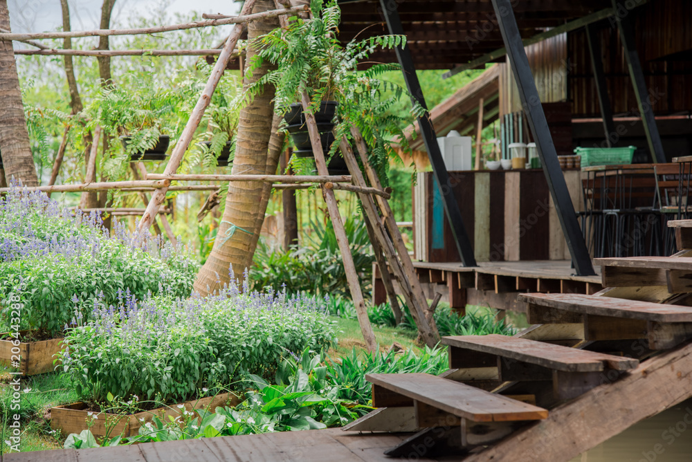 shelter made from wood on water with flower and green environment shelter made from wood on water with flower and green environment