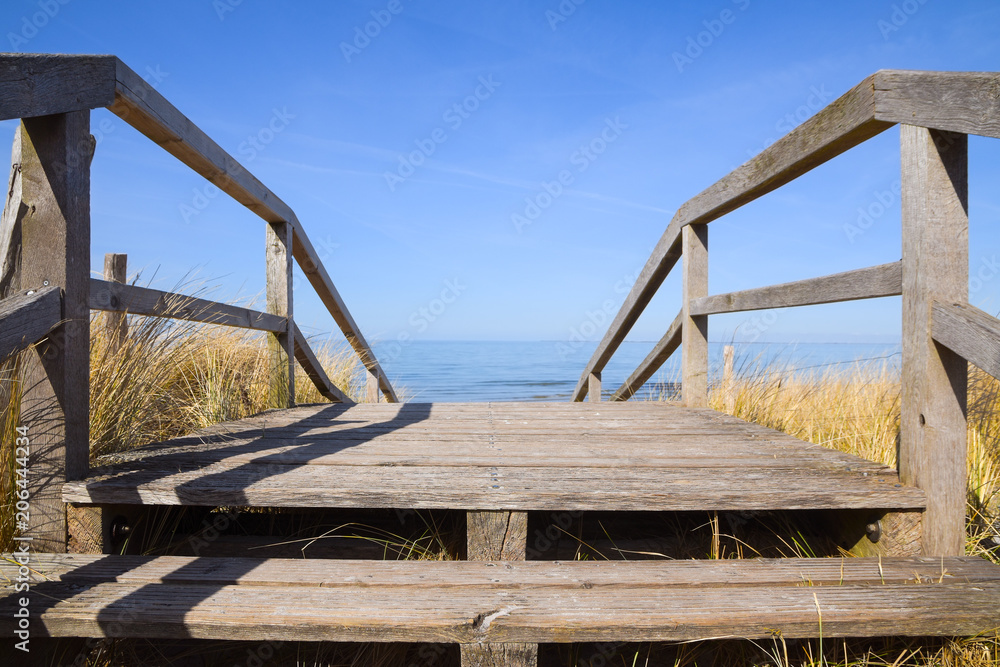 wooden bridge leads across the dunes on the beach of the baltic sea to the water, clear blue sky with copy space wooden bridge leads across the dunes on the beach of the baltic sea to the water, clear blue sky with copy space