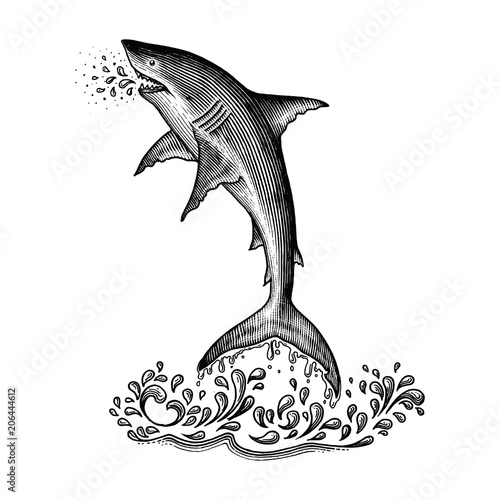 Shark jumping hand drawing vintage engraving style