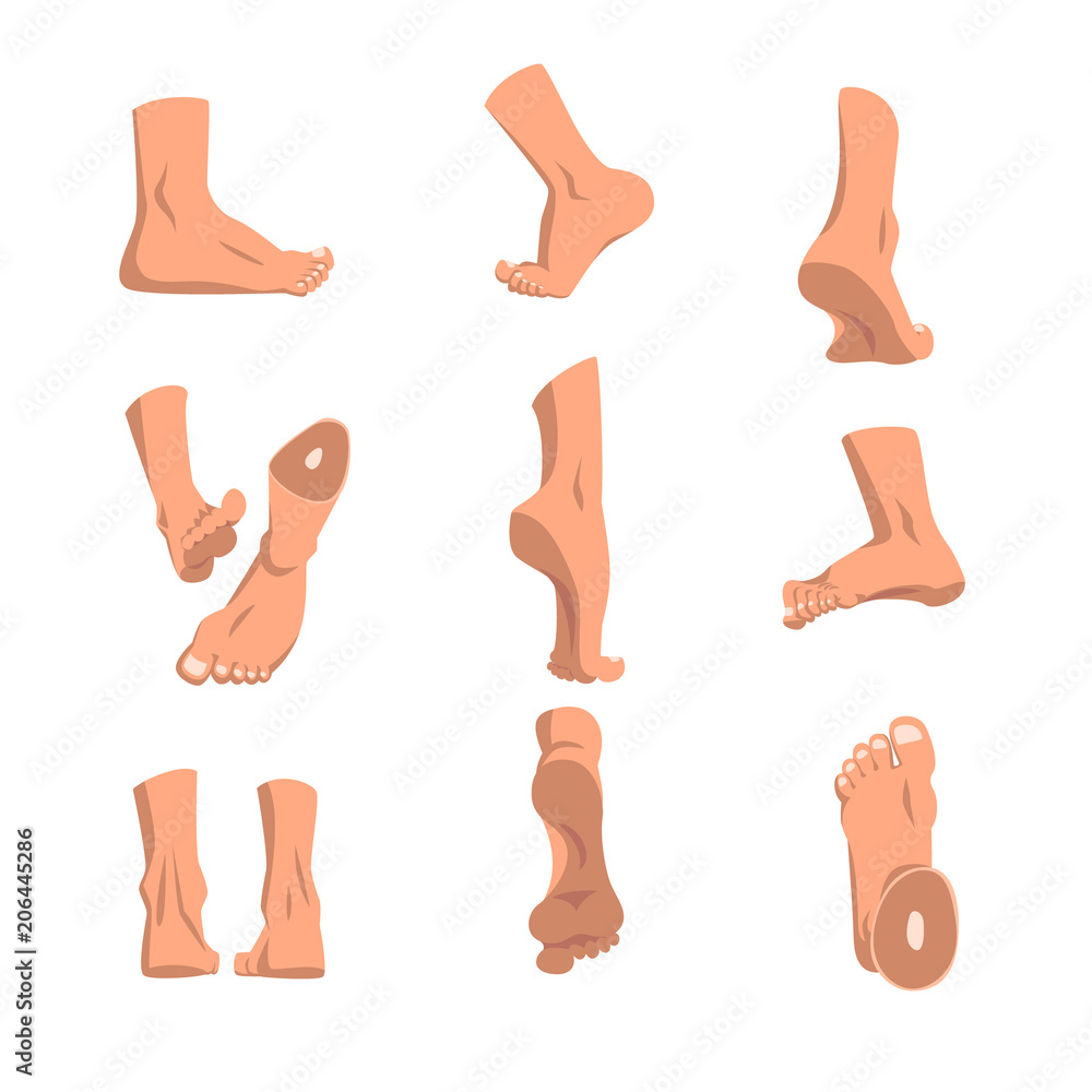 Human foot in various positions set, different views of male feet vector  Illustrations on a white background Stock Vector | Adobe Stock