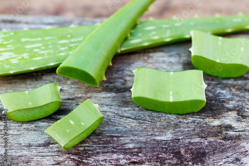 Aloe vera fresh slize. photo