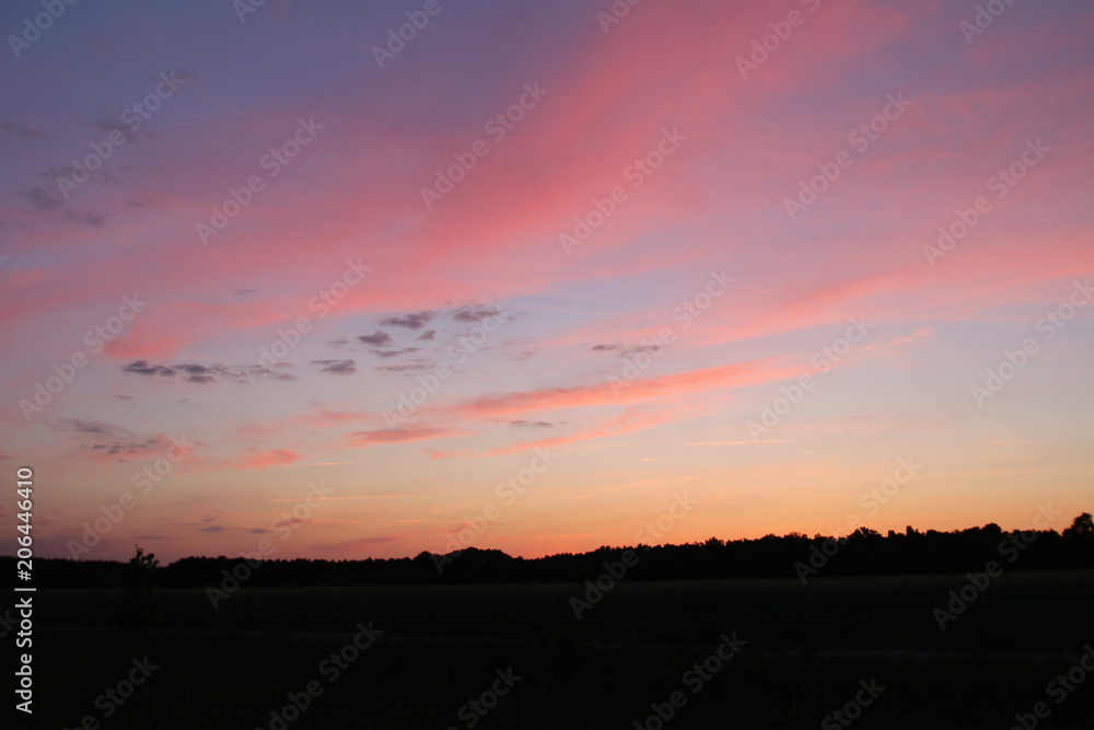 Wunderschöner Sonnenuntergang über dem Weizenfeldern Wunderschöner Sonnenuntergang über dem Weizenfeldern