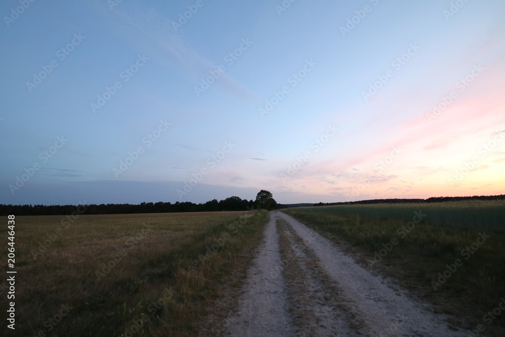 Wunderschöner Weg am Sonnenuntergang neben den Feldern