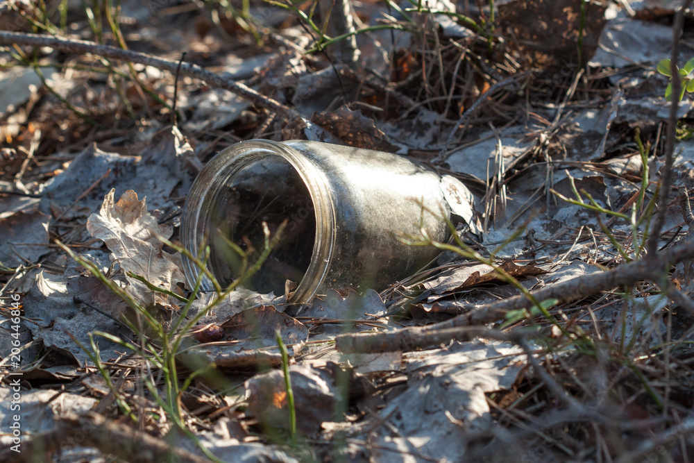 Obraz premium Garbage in the forest