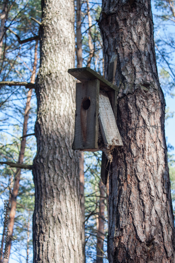 Old broken birdhouse in the forest