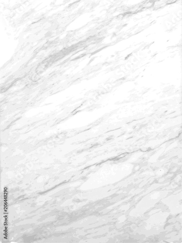 White marble texture Vector background.