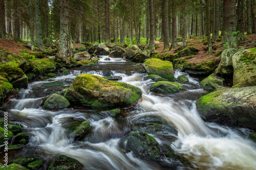 Obraz na płótnie Beautiful waterfall in green Spruce forest with big rocks around, Hamersky potok in Sumava, Czech Republic w salonie