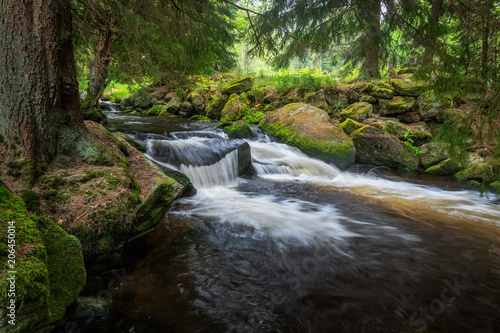 Beautiful waterfall in green Spruce forest  Hamersky potok in Sumava  Czech Republic