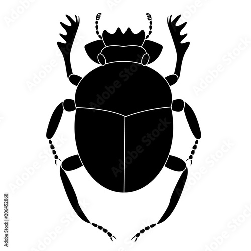 black beetle of a scarab on a white background