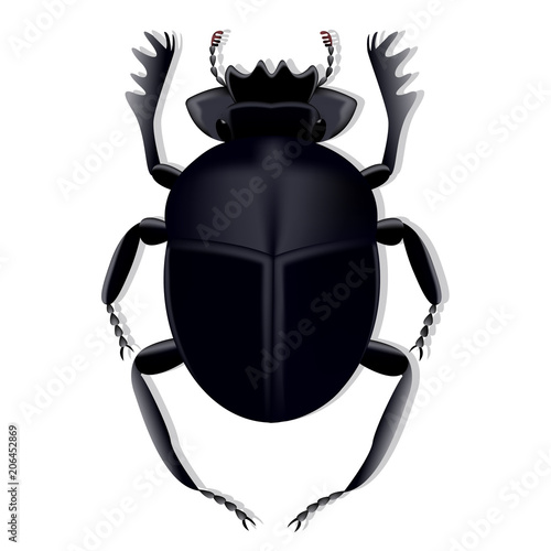 Scarab beetle created using a mesh gradient on a white background with shadow