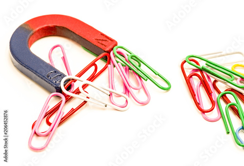 U-shaped red and blue magnet attracting paper clips isolated on white background