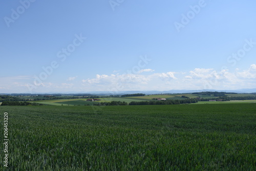 Sankt Florian, St. Florian, Hargelsberg, Traunviertel, Oberösterreich, Linz Land, Feld, Acker, Landwirtschaft, wachsen, blühen, gedeihen, Straße, Baum, Bauernhof photo