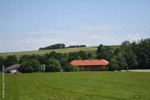 Sankt Florian, St. Florian, Hargelsberg, Traunviertel, Oberösterreich, Linz Land, Feld, Acker, Landwirtschaft, wachsen, blühen, gedeihen, Straße, Baum, Bauernhof photo