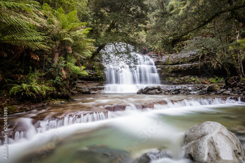 Liffey Falls lower cascade in Tasmania, Australia photo