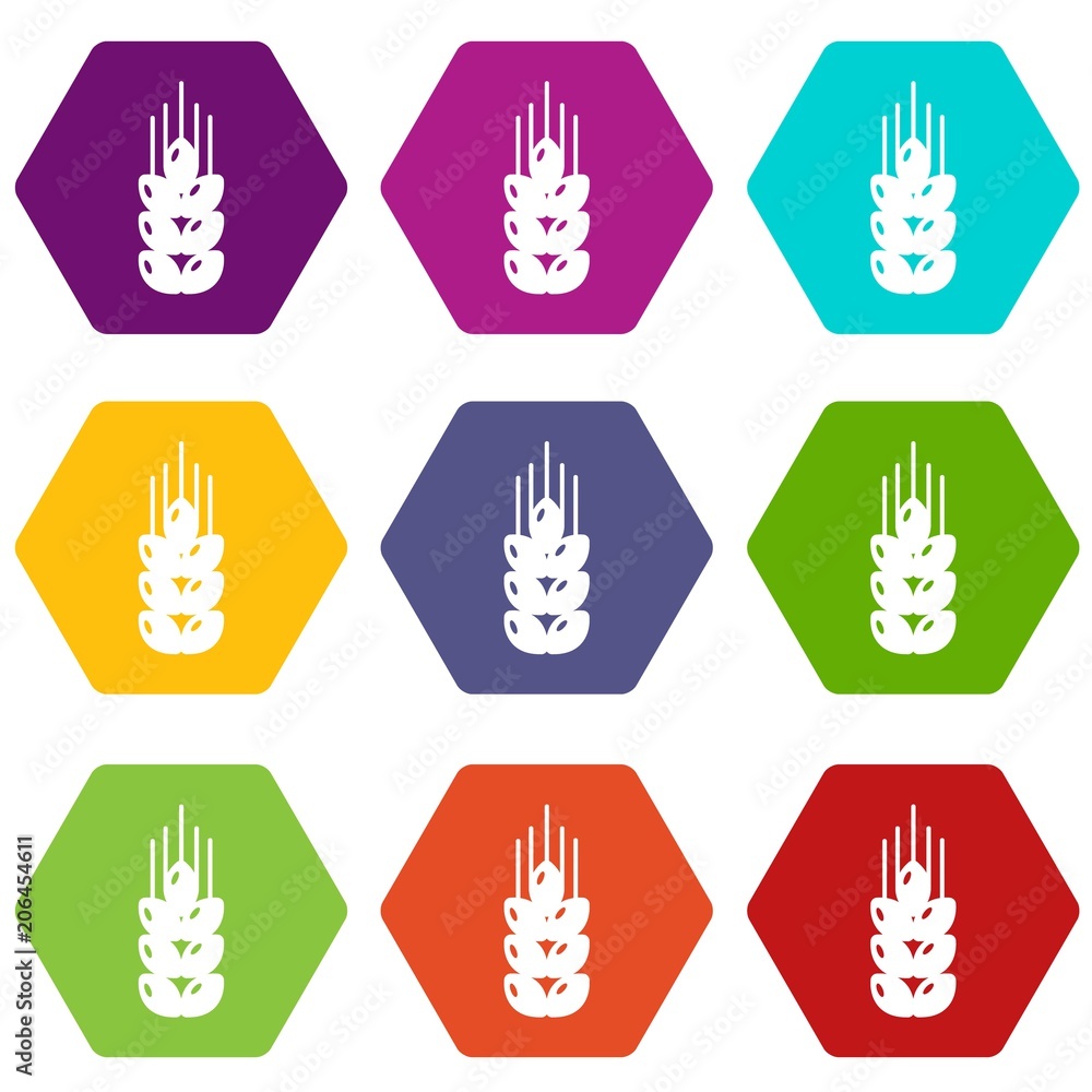 Fototapeta premium Wheat icons 9 set coloful isolated on white for web