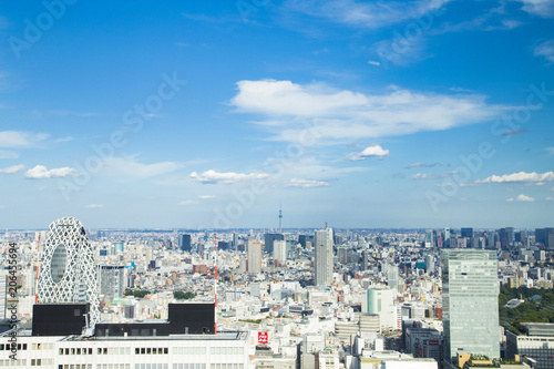 Cityscape of Shinjuku Metropolitan Government Lookout,Tokyo